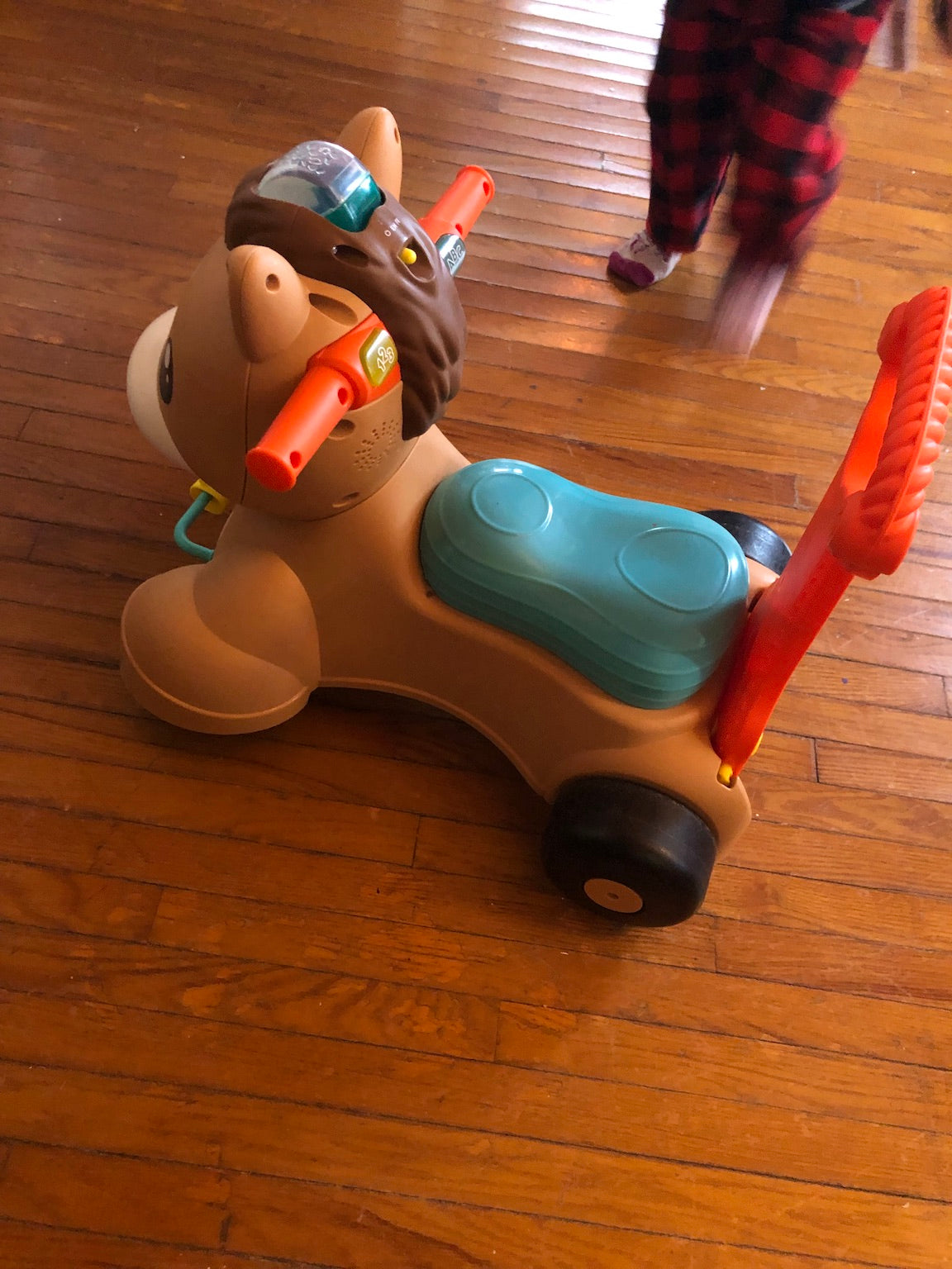 Riding horse