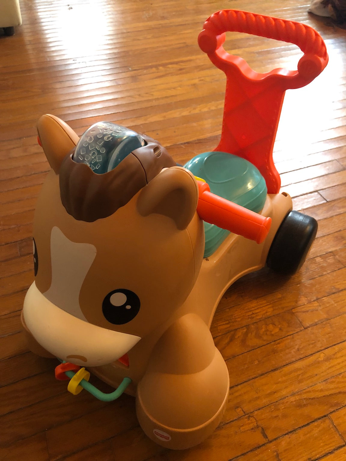 Riding horse