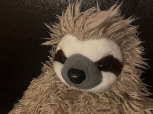 Sloth stuffed toy _ Medium Sized