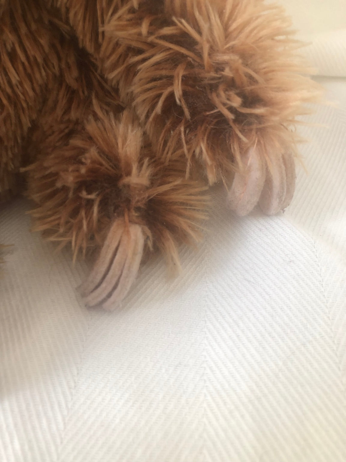 Sloth stuffed toy _ small
